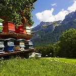 Chalet-hôtel Les Rhodos 3*