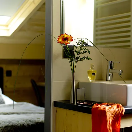 Chalet-hotel Les Rhodos Cordon